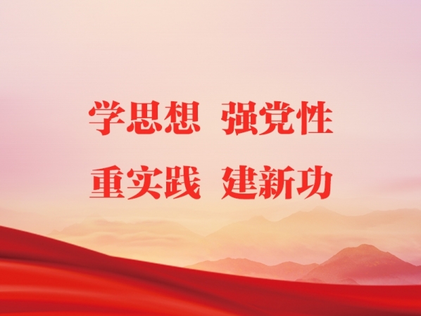 專題｜學(xué)思想 強(qiáng)黨性 重實(shí)踐 建新功